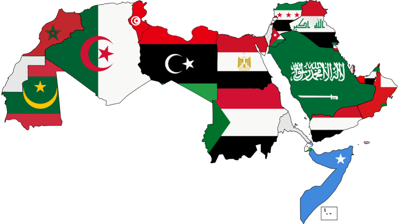 Why Haven’t Arab States Taken Decisive Action on Gaza? Obstacles and the Path Forward