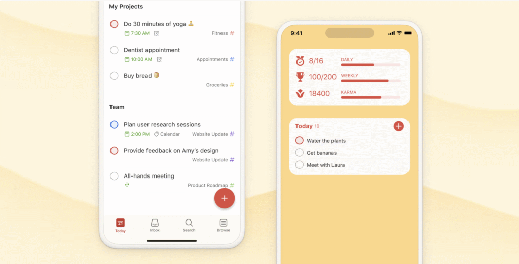 Todoist app - manage memory app