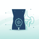 How Should a Healthy Penis Look?