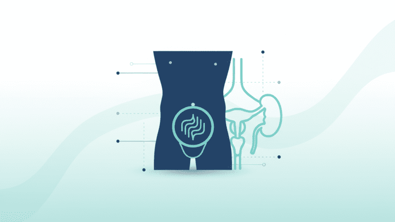 How Should a Healthy Penis Look?