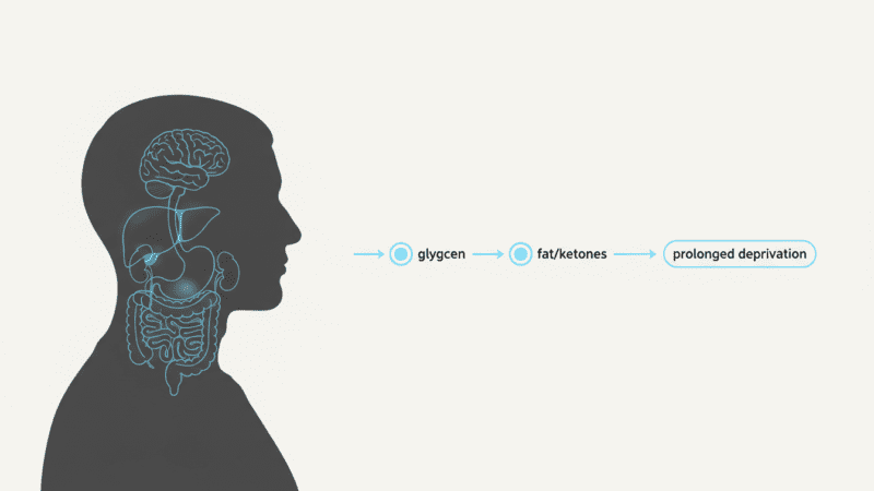 Intermittent Fasting vs Starvation: What’s the Difference? (And How to Fast More Safely)